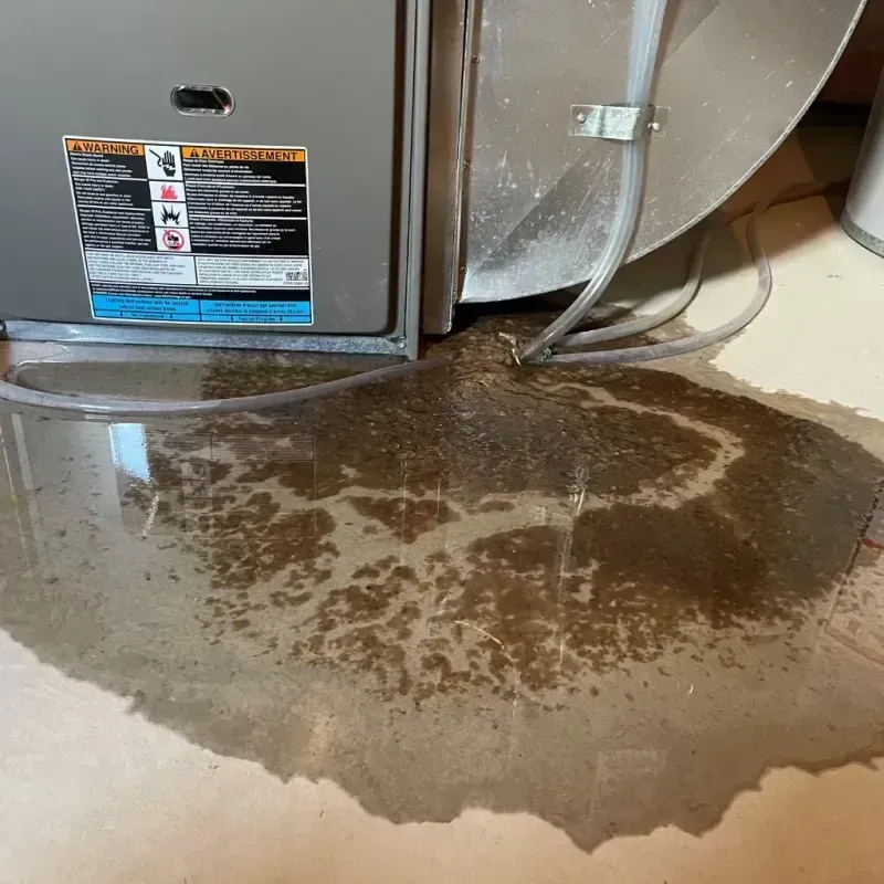 Appliance Leak Cleanup in North Brooksville, FL